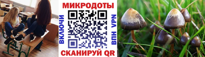 Псилоцибиновые грибы ЛСД  Починок 